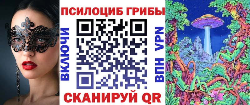 где купить наркотик  darknet телеграм  Галлюциногенные грибы Cubensis  Крымск 